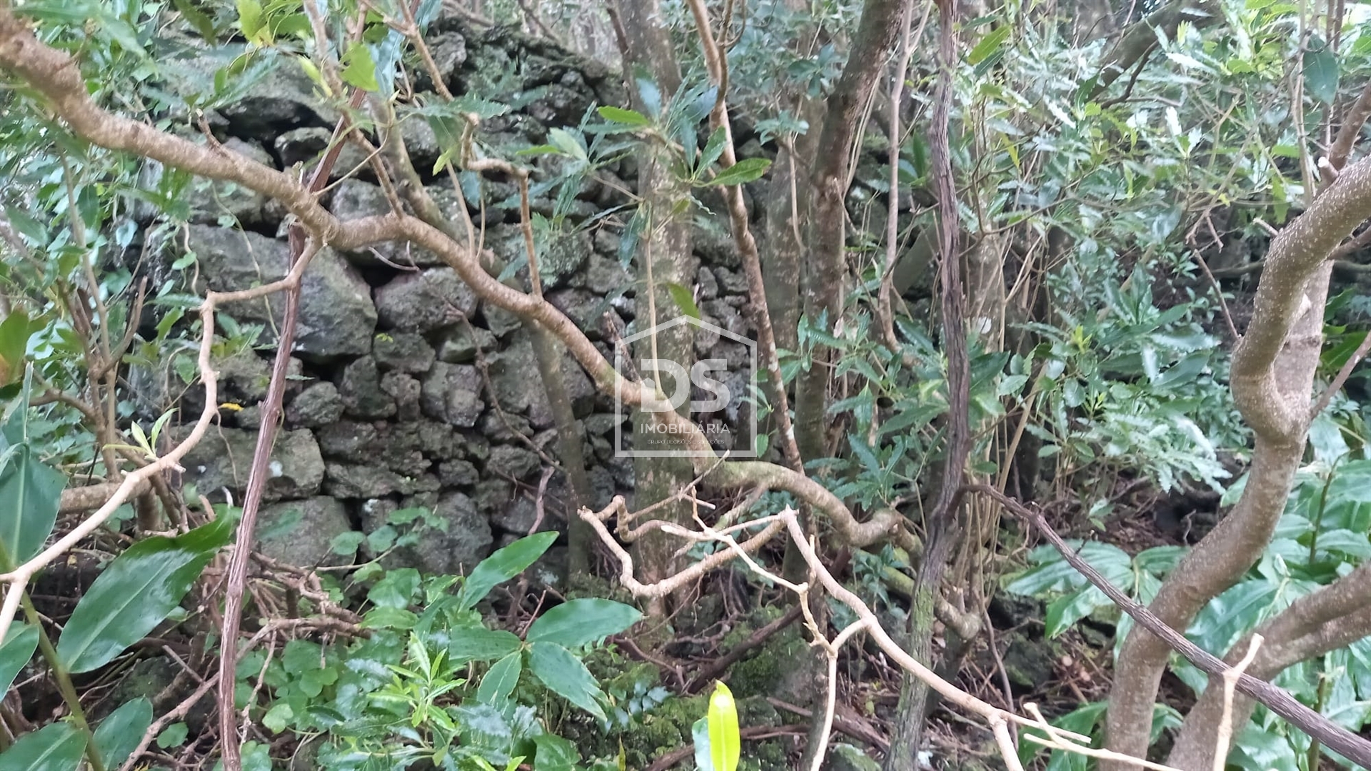 Terreno Para Construção