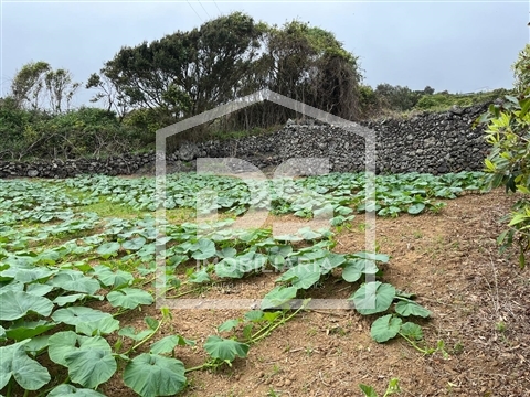 Terreno Para Construção